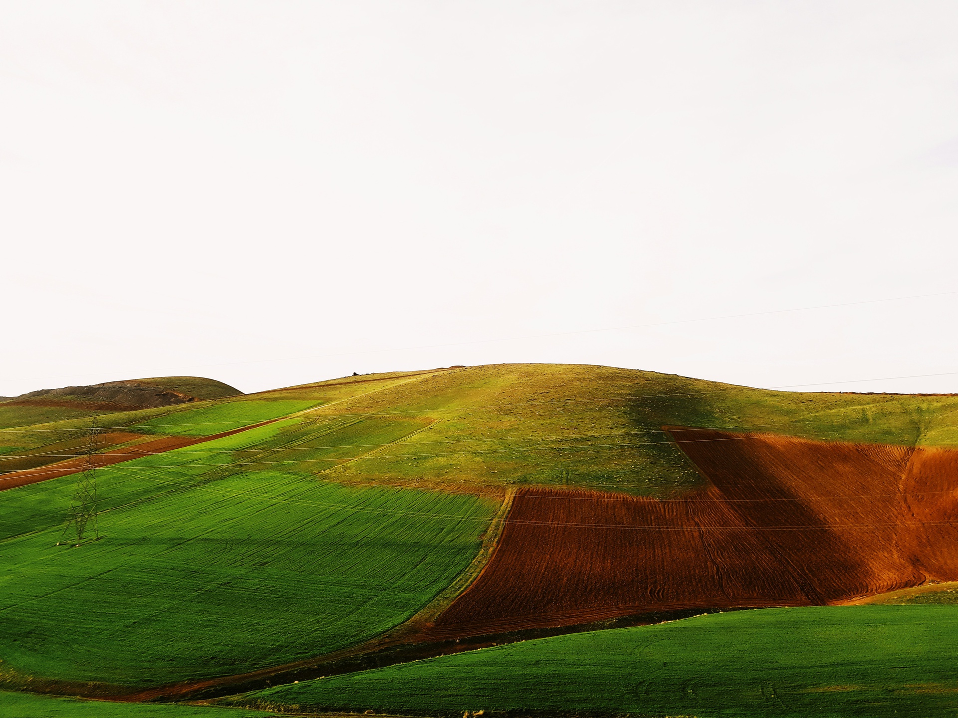 農(nóng)場(chǎng)運(yùn)營數(shù)據(jù)統(tǒng)計(jì)