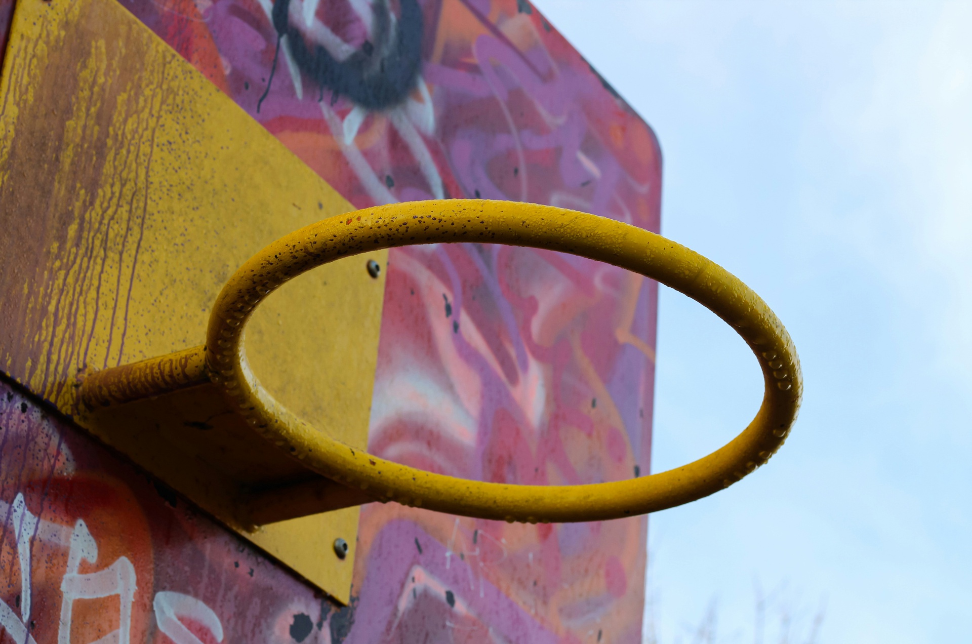 運(yùn)動活動報名