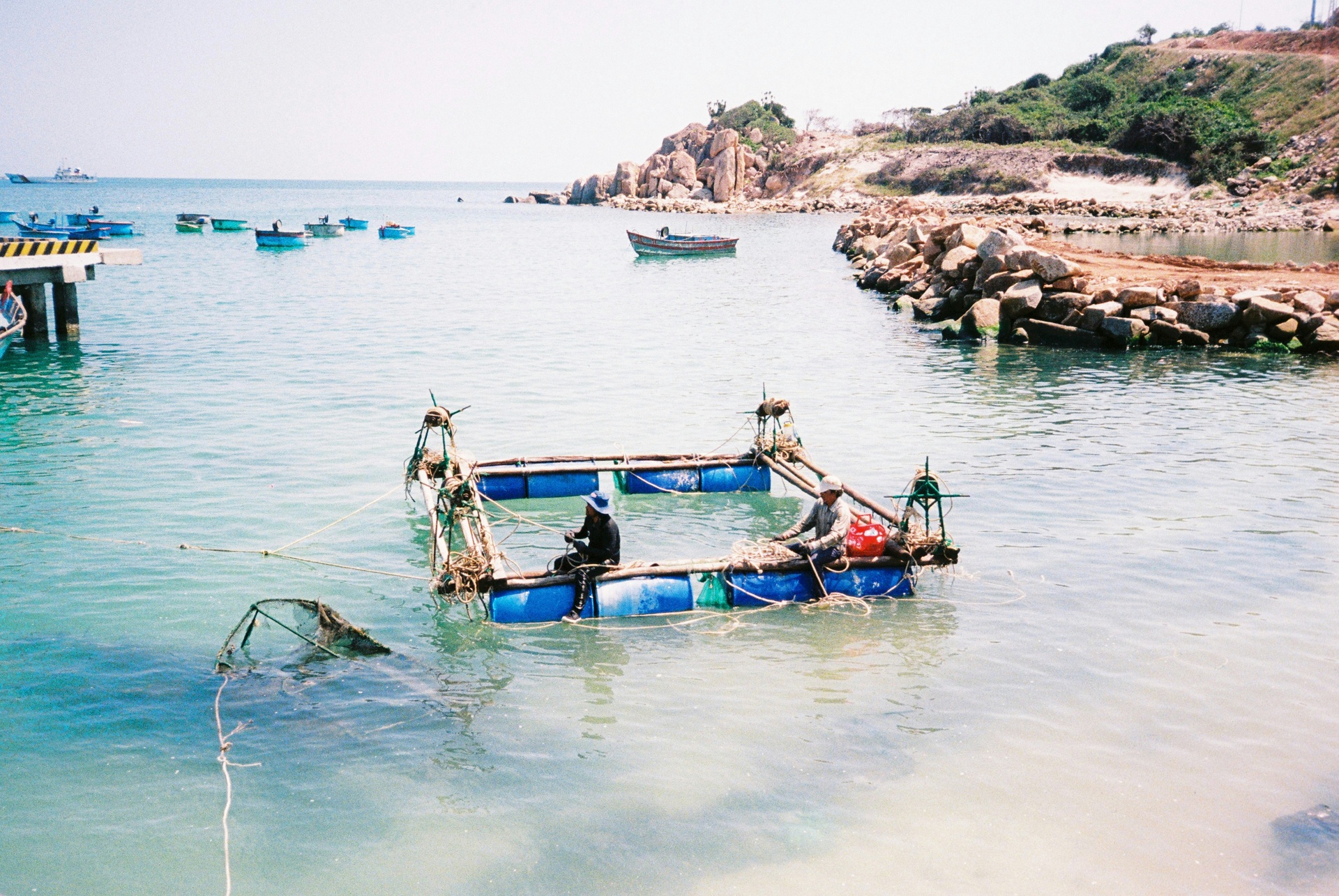 養(yǎng)殖數(shù)據(jù)分析