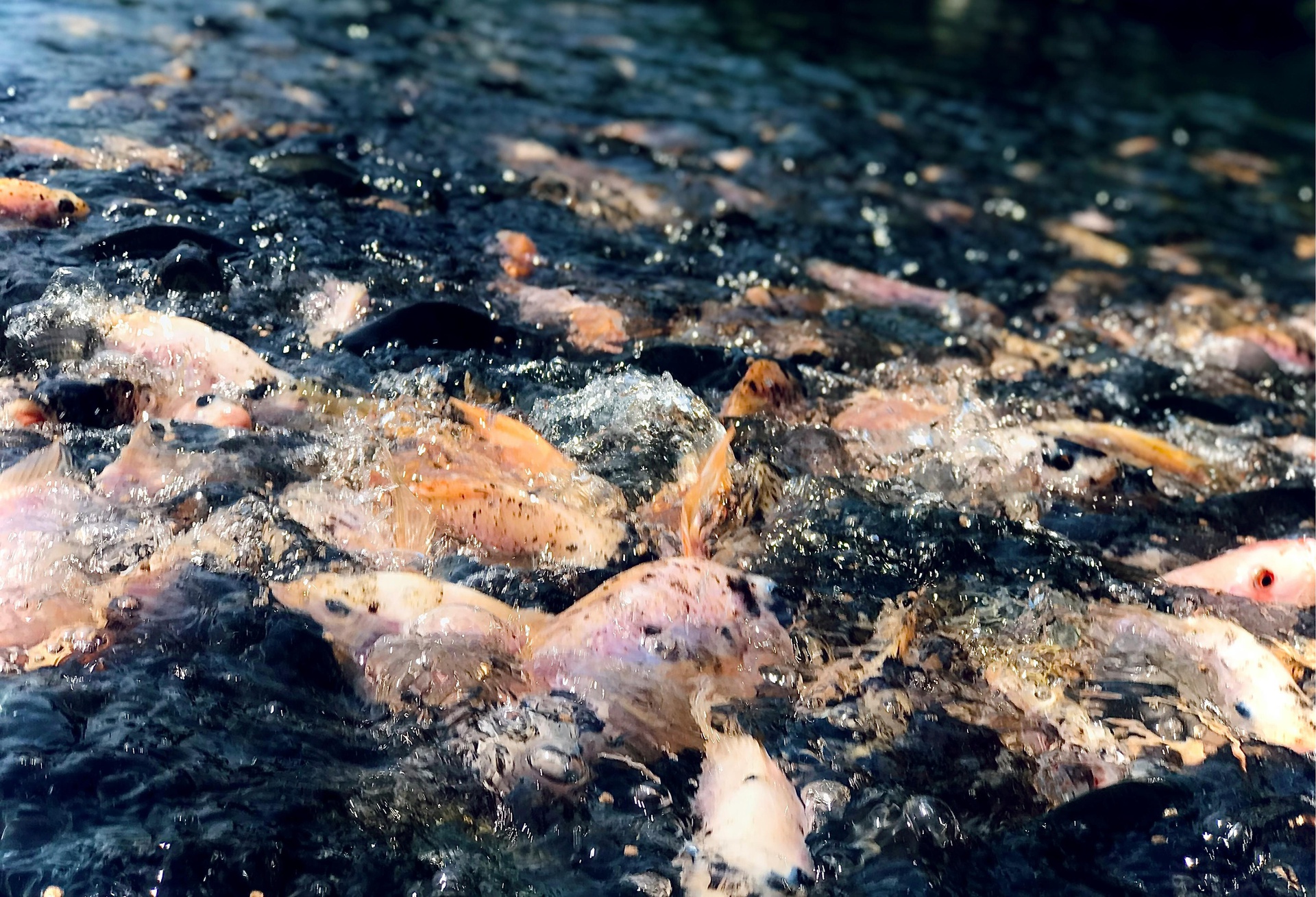 供求交易對(duì)接